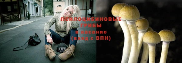 гашик Абинск