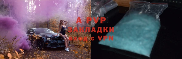 гашик Абинск