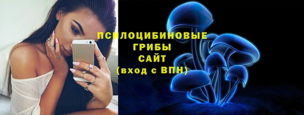 ешки Абаза
