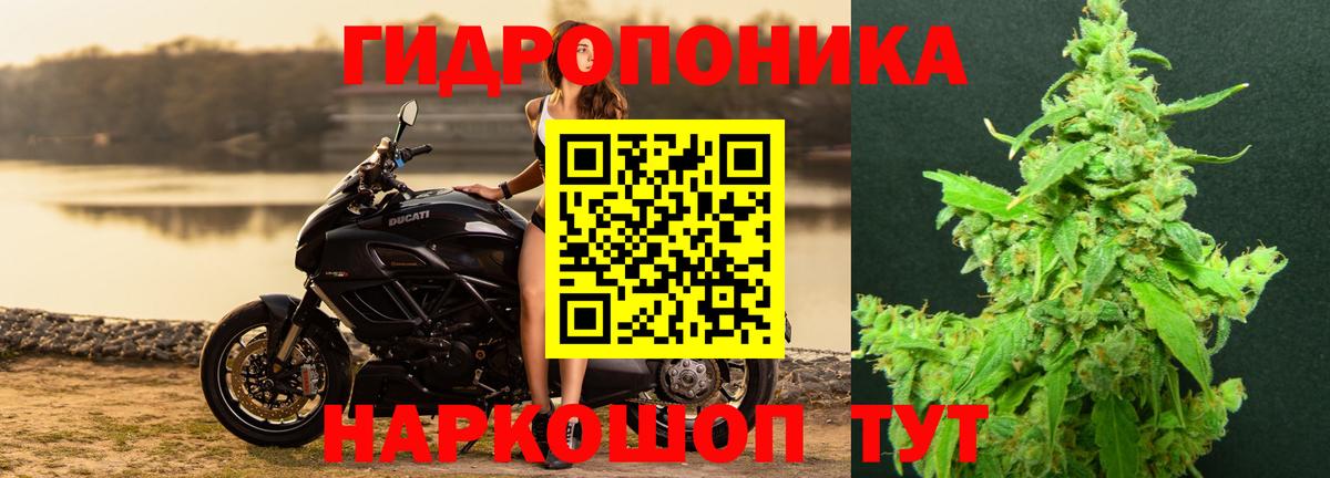 Конопля AK-47 Иваново